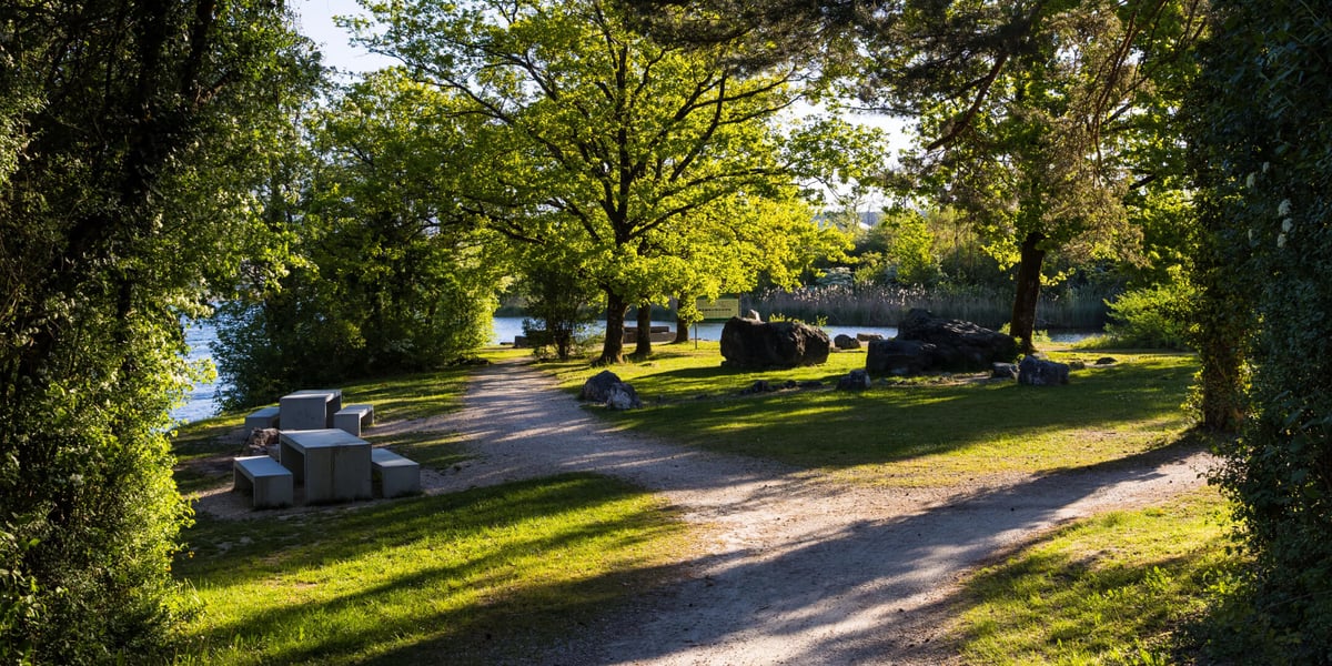 online-magazin-sommer-in-Zuchwil-2880x1440-5